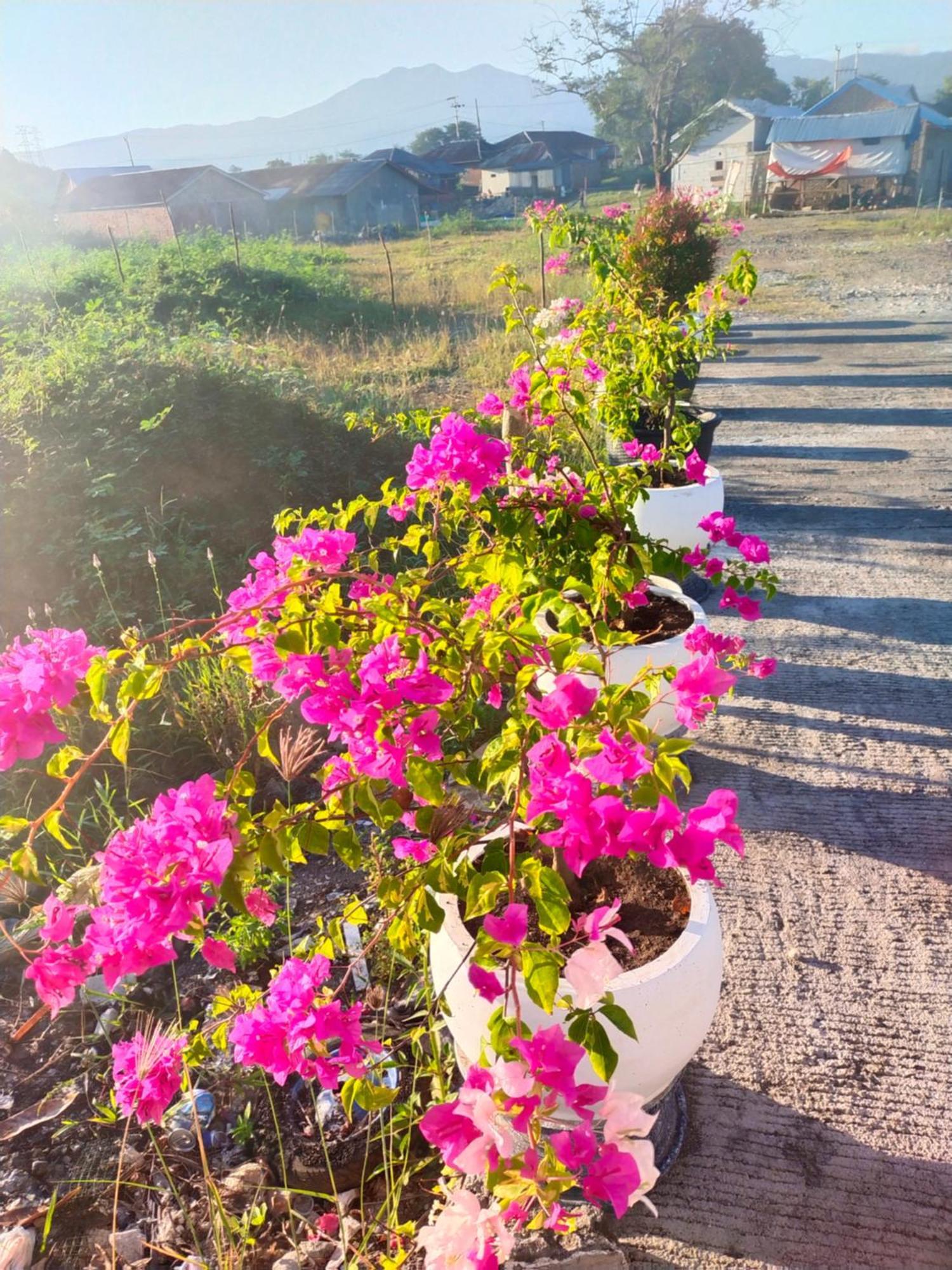 La Geiro Villa ラブハン・バジョ エクステリア 写真